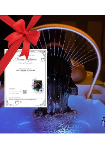 QUEEN HEAD SPA dovanų sertifikatas